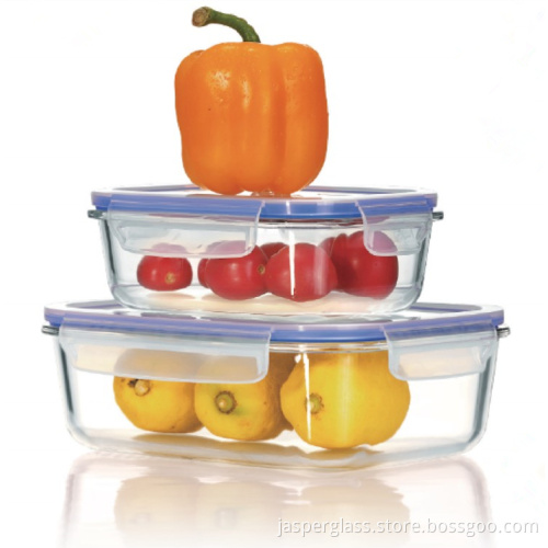 Borosilicate Glass Airtight Food Container BPA Free Lid